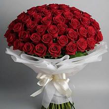 Букет 101 Красная роза Блэк Мэджик в Савинской