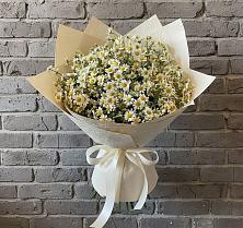 Букет цветов из:  Ромашки #REPLACE_PRED# Савинской