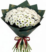 Букет цветов из:  Хризантемы #REPLACE_PRED# Савинской