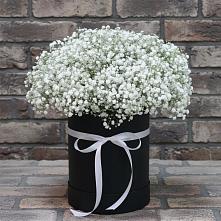 Цветочная композиция из Гипсофила в шляпной коробке #REPLACE_PRED# Савинской