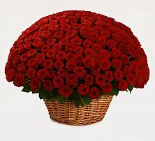 Премиум букет из: Розы в Савинской